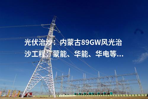 分散式風電：布置3臺5MW風電機組，一鄉村振興風電中標人公示