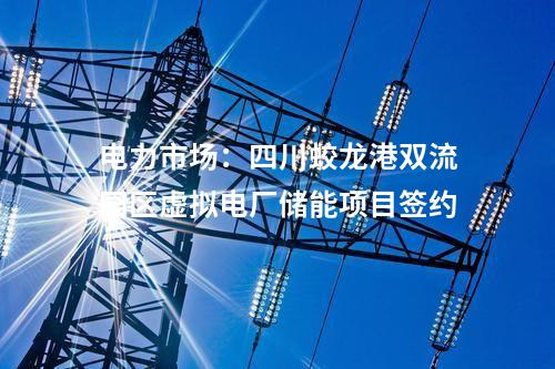 數(shù)智化：國內(nèi)首個村級自治微電網(wǎng)示范工程正式建成投運