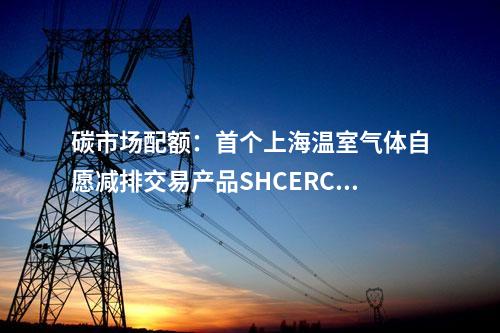 電網(wǎng)建設：四川遂寧小于（海棠）220千伏輸變電擴建工程核準獲批