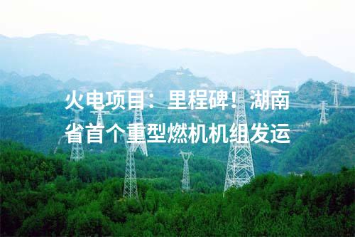 水電項(xiàng)目：總裝機(jī)1050MW！貴州烏江思林水電站順利通過(guò)工程竣工驗(yàn)收