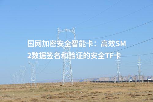國網加密安全智能卡：高效SM2數據簽名和驗證的安全TF卡