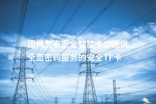 國網加密安全智能卡：提供全面密碼服務的安全TF卡