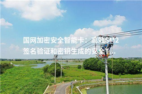 國網(wǎng)加密安全智能卡：支持SM1、SM2、SM3算法的高安全性TF卡