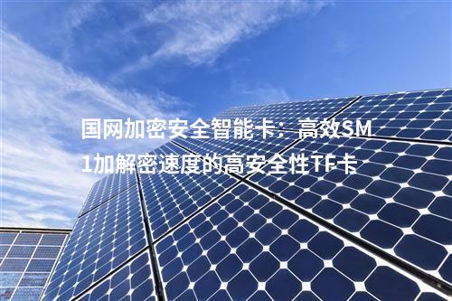 國(guó)網(wǎng)加密安全智能卡：高效SM1加解密速度的高安全性TF卡