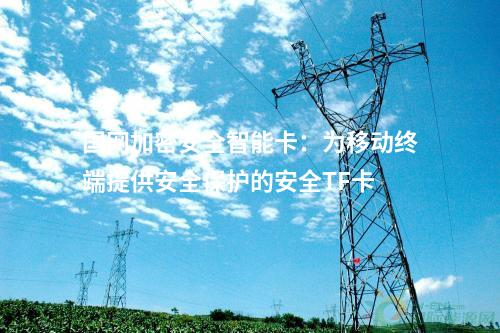 國網加密安全智能卡：為移動終端提供安全保護的安全TF卡