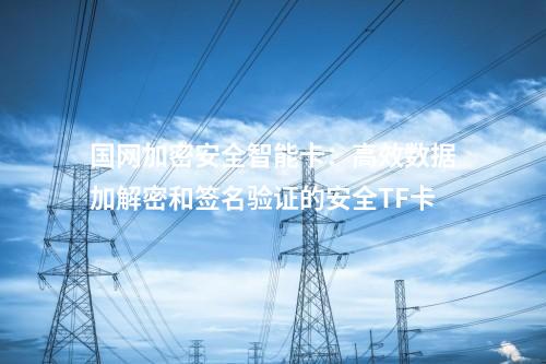 國網(wǎng)加密安全智能卡：高效數(shù)據(jù)加解密和簽名驗(yàn)證的安全TF卡