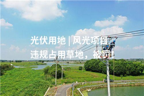 光伏用地 | 風(fēng)光項目違規(guī)占用草地，被罰！