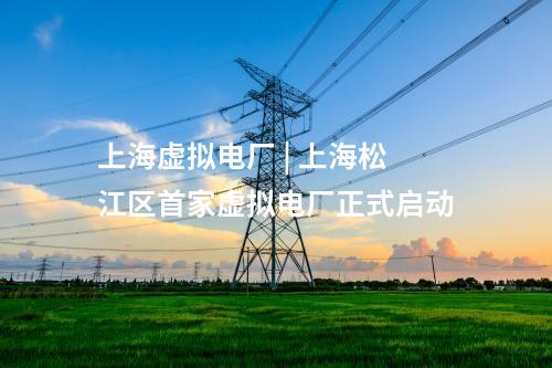 上海虛擬電廠 | 上海松江區(qū)首家虛擬電廠正式啟動(dòng)