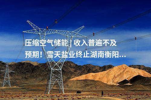 壓縮空氣儲能 | 收入普遍不及預期！雪天鹽業終止湖南衡陽百兆瓦級鹽穴壓縮空氣儲能項目建設
