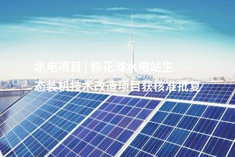 異質(zhì)結(jié)組件 | 5GW高效異質(zhì)結(jié)組件首件下線！