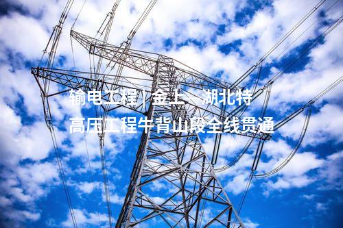 配電自動化 | 云南曲靖供電首個透明主動配網示范臺區投運