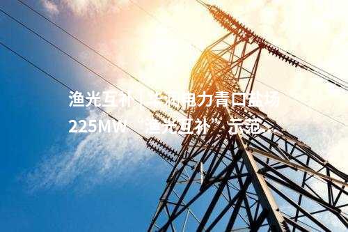 中國電建 | 蘇里南副總統(tǒng)出席中企承建微電網項目二期竣工儀式