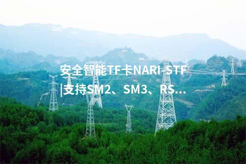 安全智能TF卡NARI-STF|支持SM2、SM3、RSA2048等多種密碼算法