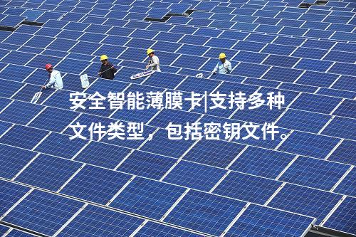安全智能薄膜卡|安全智能薄膜卡支持數字證書功能。