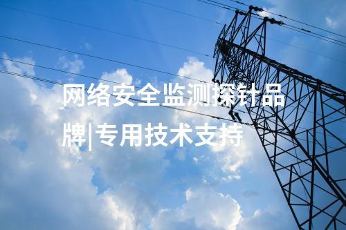 網絡安全監測探針品牌|專用技術支持