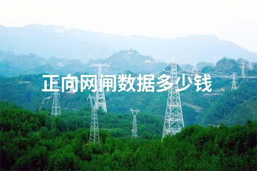 正向反向網閘怎么樣 