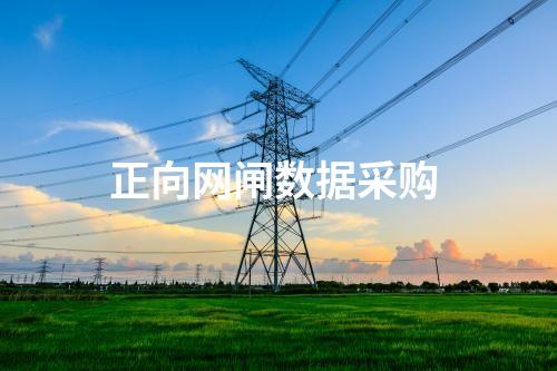 正向網閘數據怎么樣 
