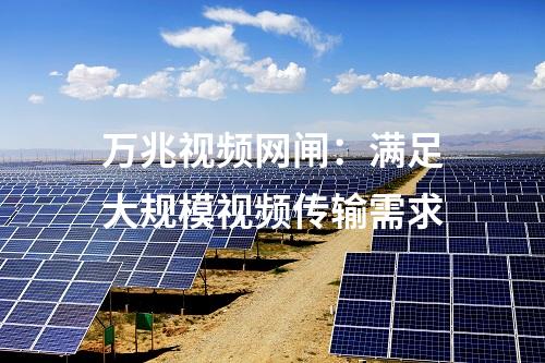 萬兆視頻網閘：滿足大規模視頻傳輸需求