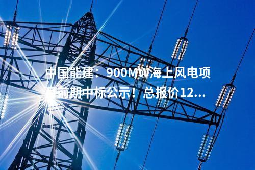 中國能建：900MW海上風電項目前期中標公示！總報價12325萬元！