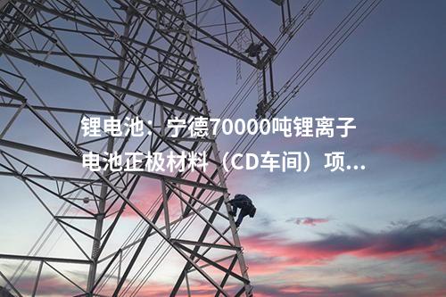 鋰電池：寧德70000噸鋰離子電池正極材料（CD車間）項目完成封頂儀式