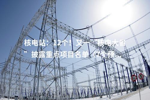 核電站：12個！又一“核電大省”披露重點項目名單（7個預(yù)備項目）
